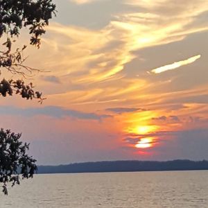 Meet your Posher, Cathy